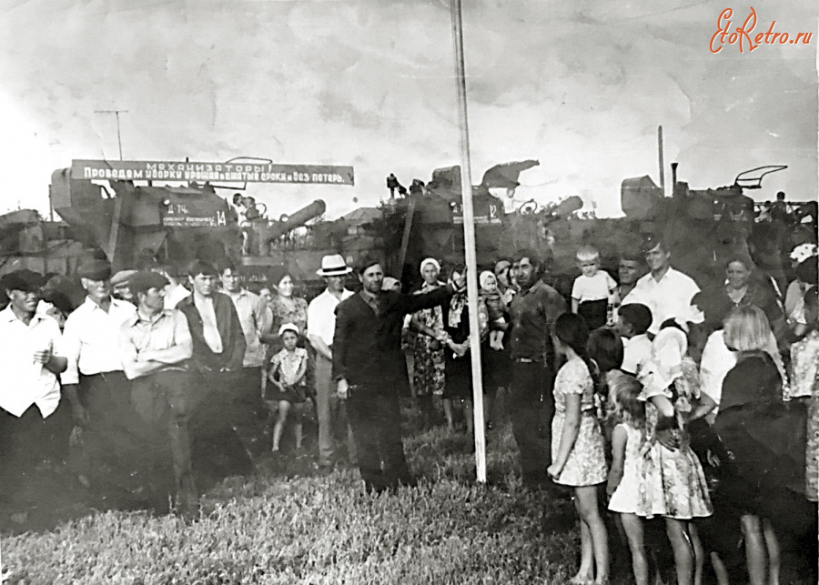 Эртиль - Ростоши. Перед началом уборки урожая.