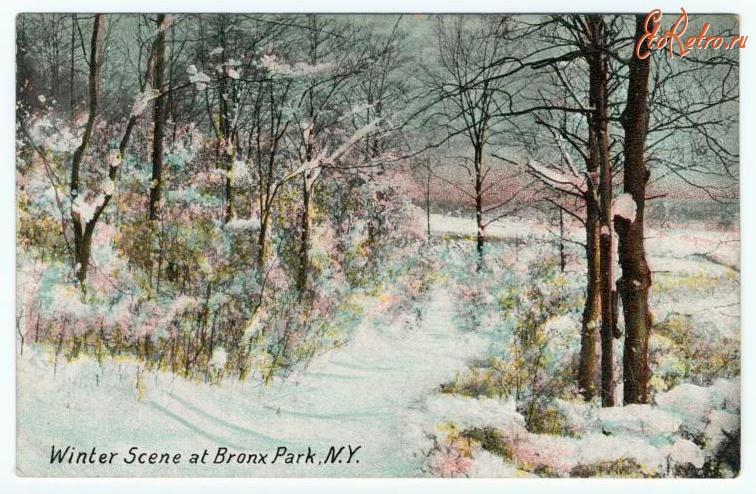 Нью-Йорк - Зима в Бронкс-Парке