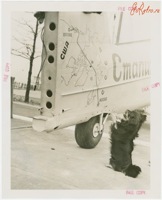 Нью-Йорк - Транспортировка хвоста самолёта АНТ-25 в Бруклине