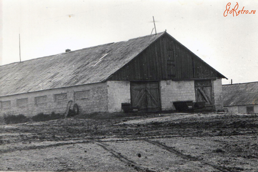 Ровеньки - Клименково. Ферма.