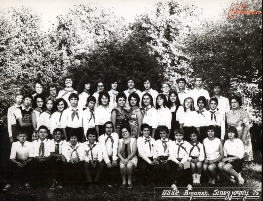 Навля - Навлинский район. Пионерлагерь Синезёрки.