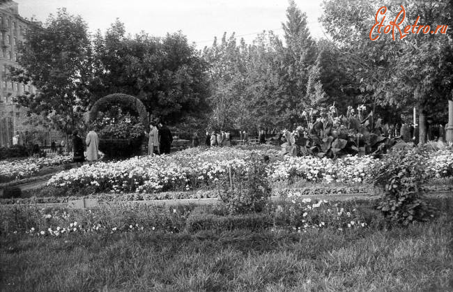 Саратов - Зеленая скульптура 