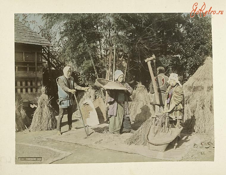 Япония - Сельскохозяйственные работы, обмолот риса, 1890-1899