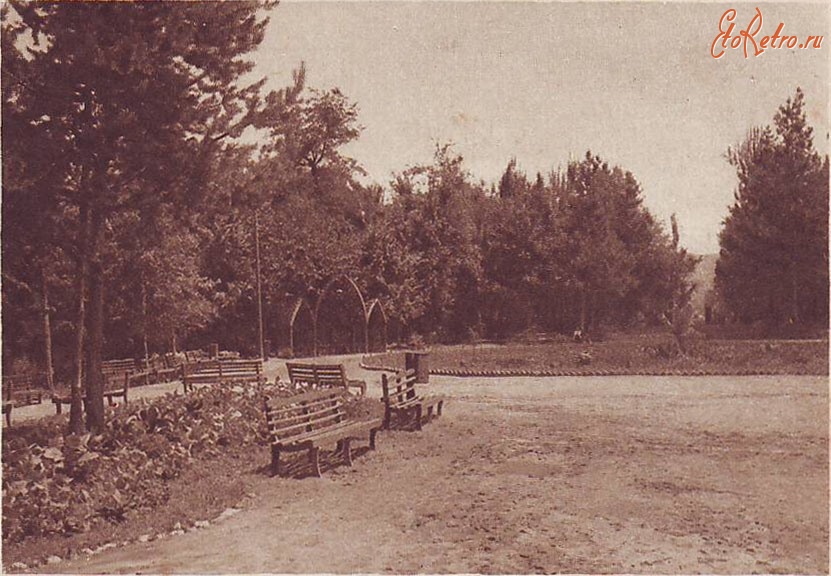 Алма-Ата - Алма-Ата. Парк. Фотограф И. Н. Панов. ~1929 г