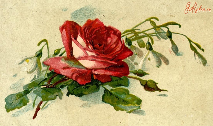 Винтаж: Старинная французская открытка Розы Фиалки
