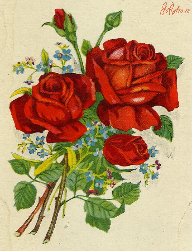 Рисунок открытки поздравления. Открытки. Цветы рисунок. Открытки с цветами. Советские открытки с цветами.