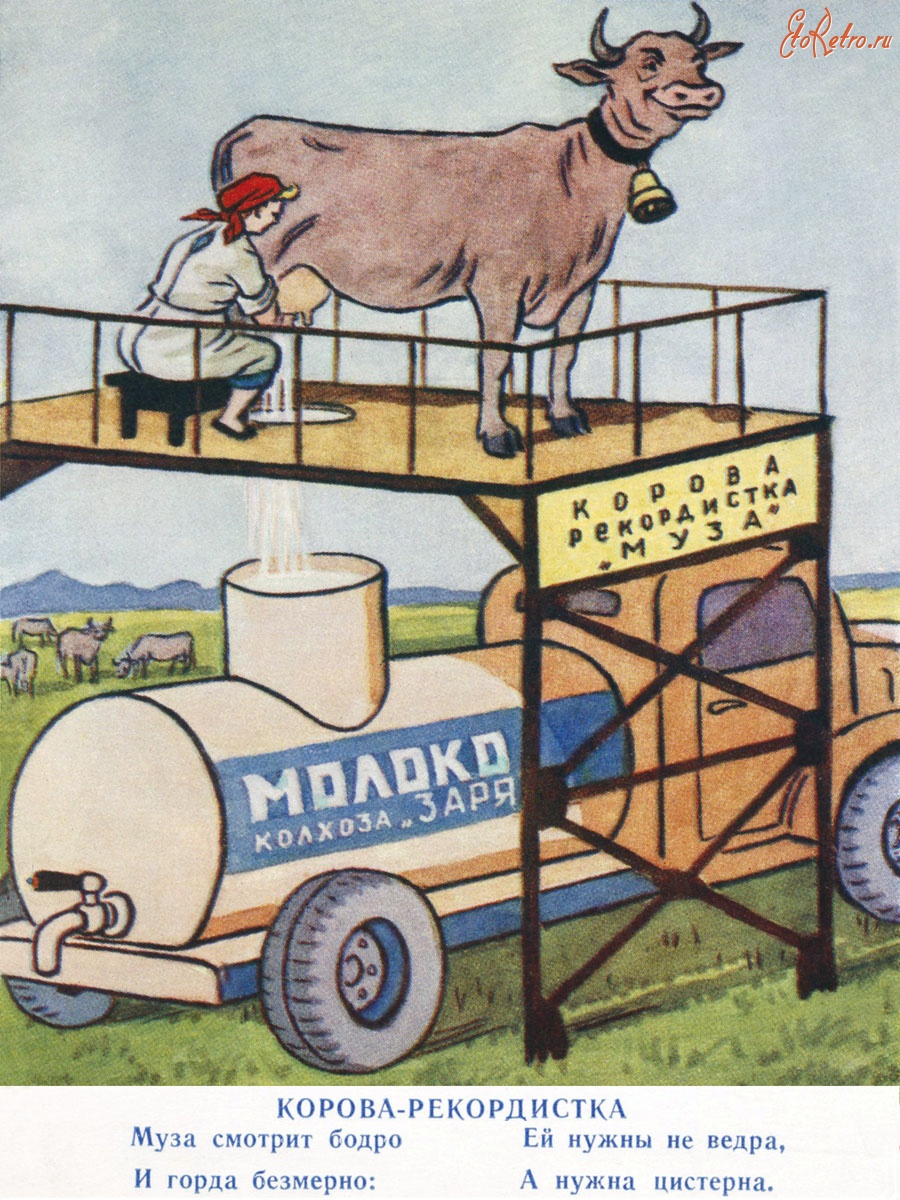 Советские открытки с коровами