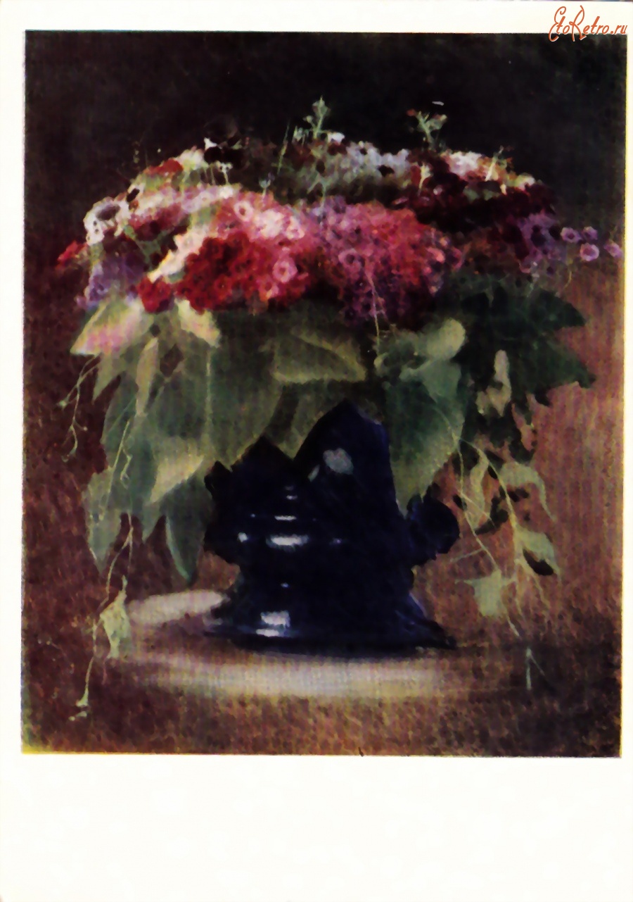 Ретро открытки - Букет цветов. Флоксы