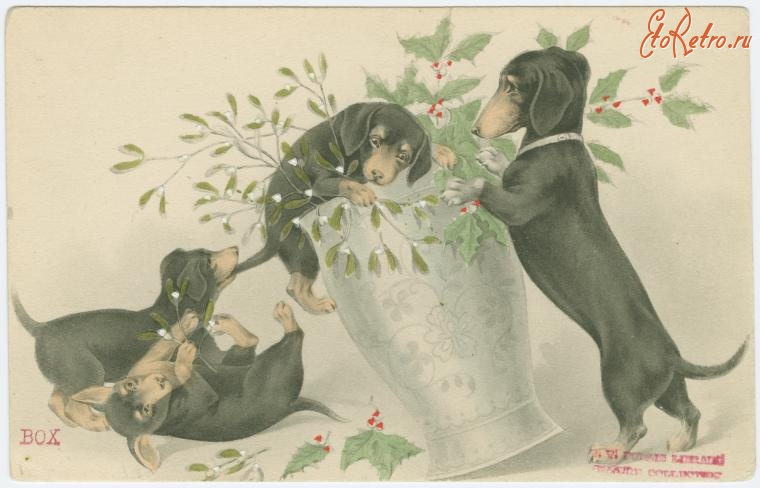 Ретро открытки - Собаки играют с букетом из омелы и остролиста
