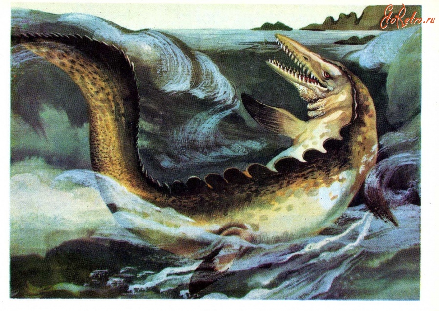 Ретро открытки - Мозазавр.
