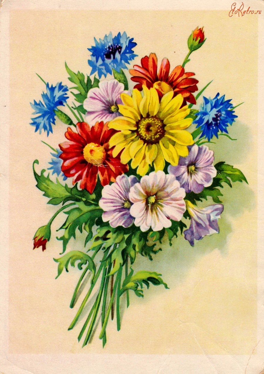 Старинная открытка букет цветов