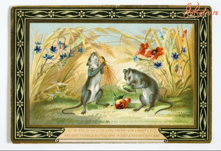 Ретро открытки - Деревенская мышка