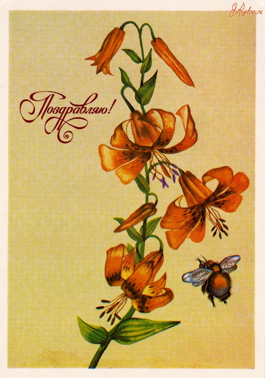 Советские открытки с лилиями