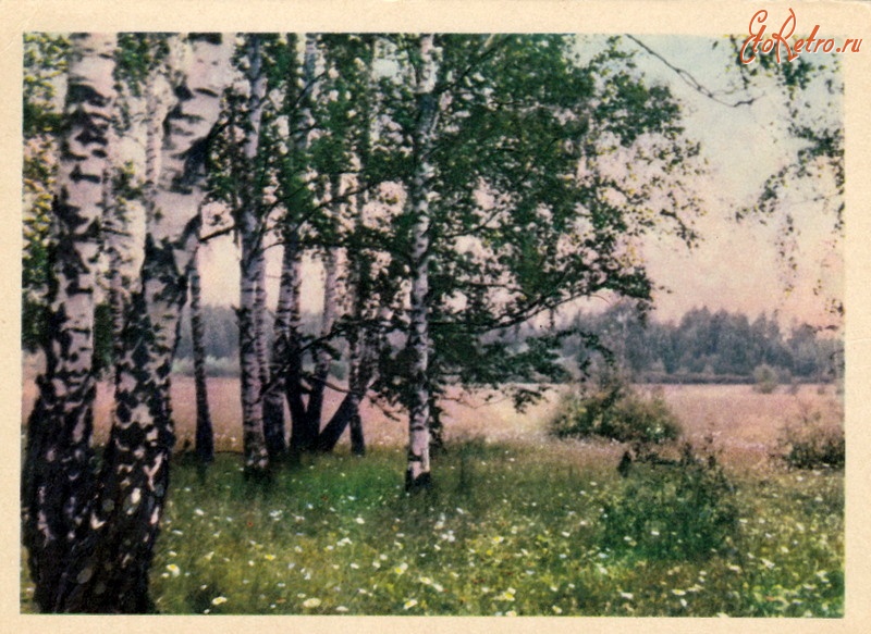 Ретро открытки - В лесу