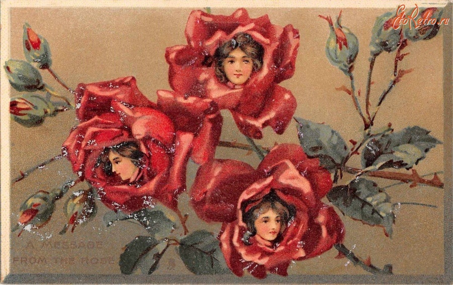 Ретро открытки - Розовое послание любви