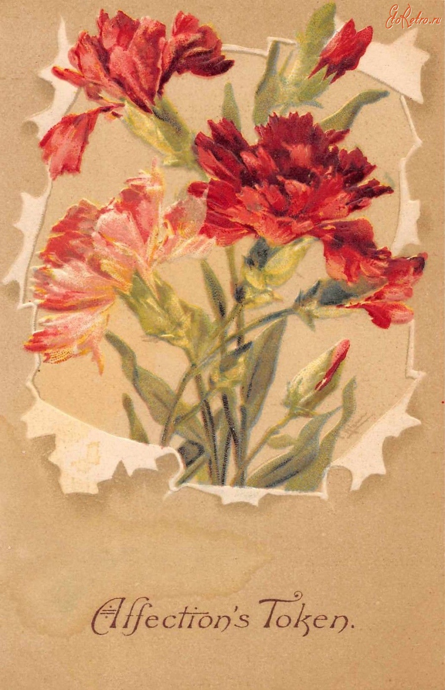 Катарина Кляйн цветы гвоздики