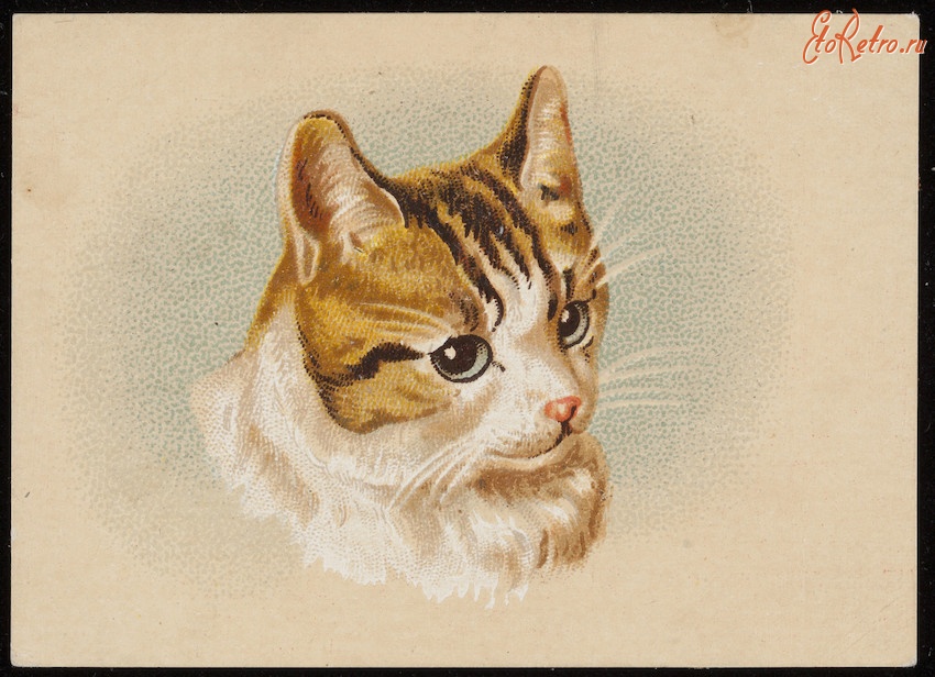 Ретро открытки - Рыжая кошка с белыми пятнами