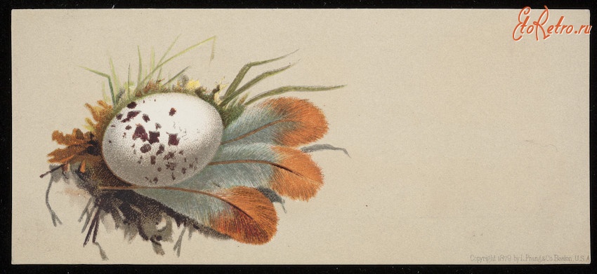 Ретро открытки - Птичье яйцо в гнезде из разноцветных перьев