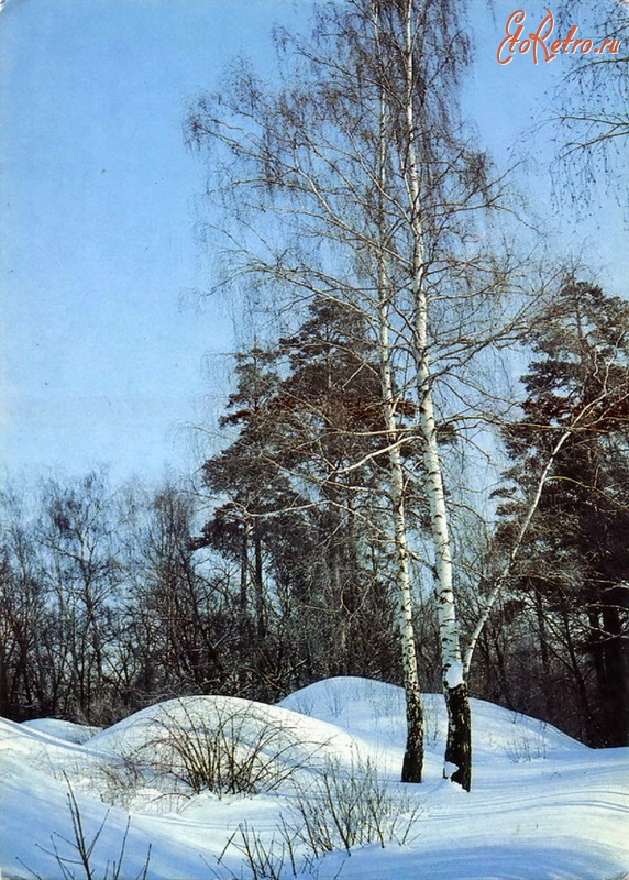 Ретро открытки - Зима в Подмосковье