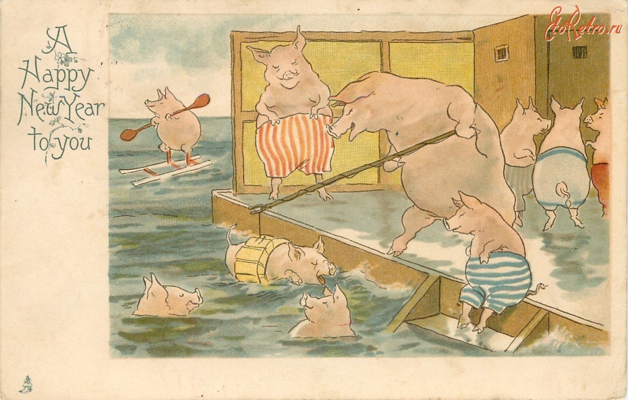 Поздравительная открытка Свиньи и кабаны