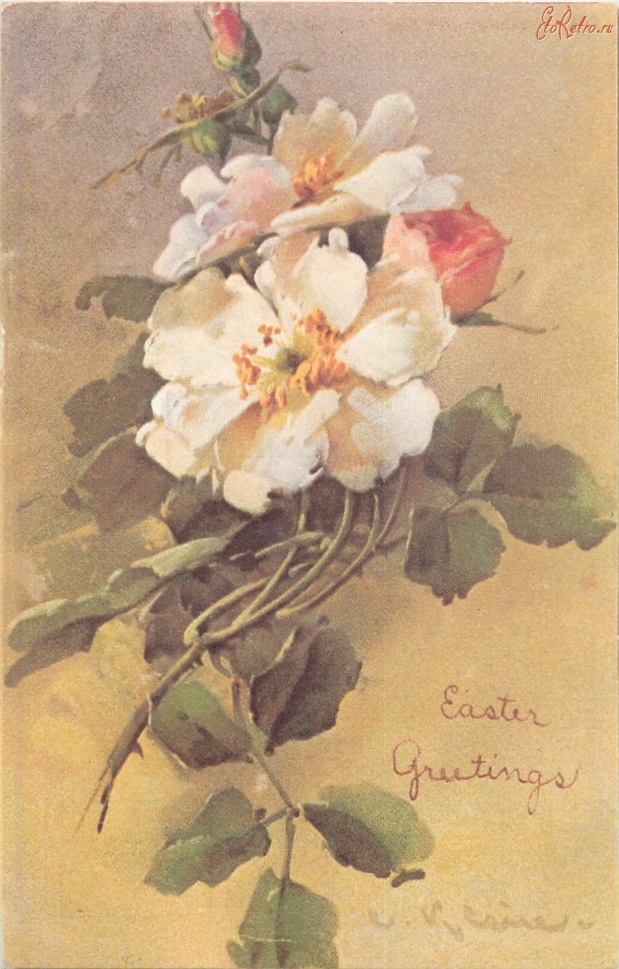 Катарина Кляйн цветы