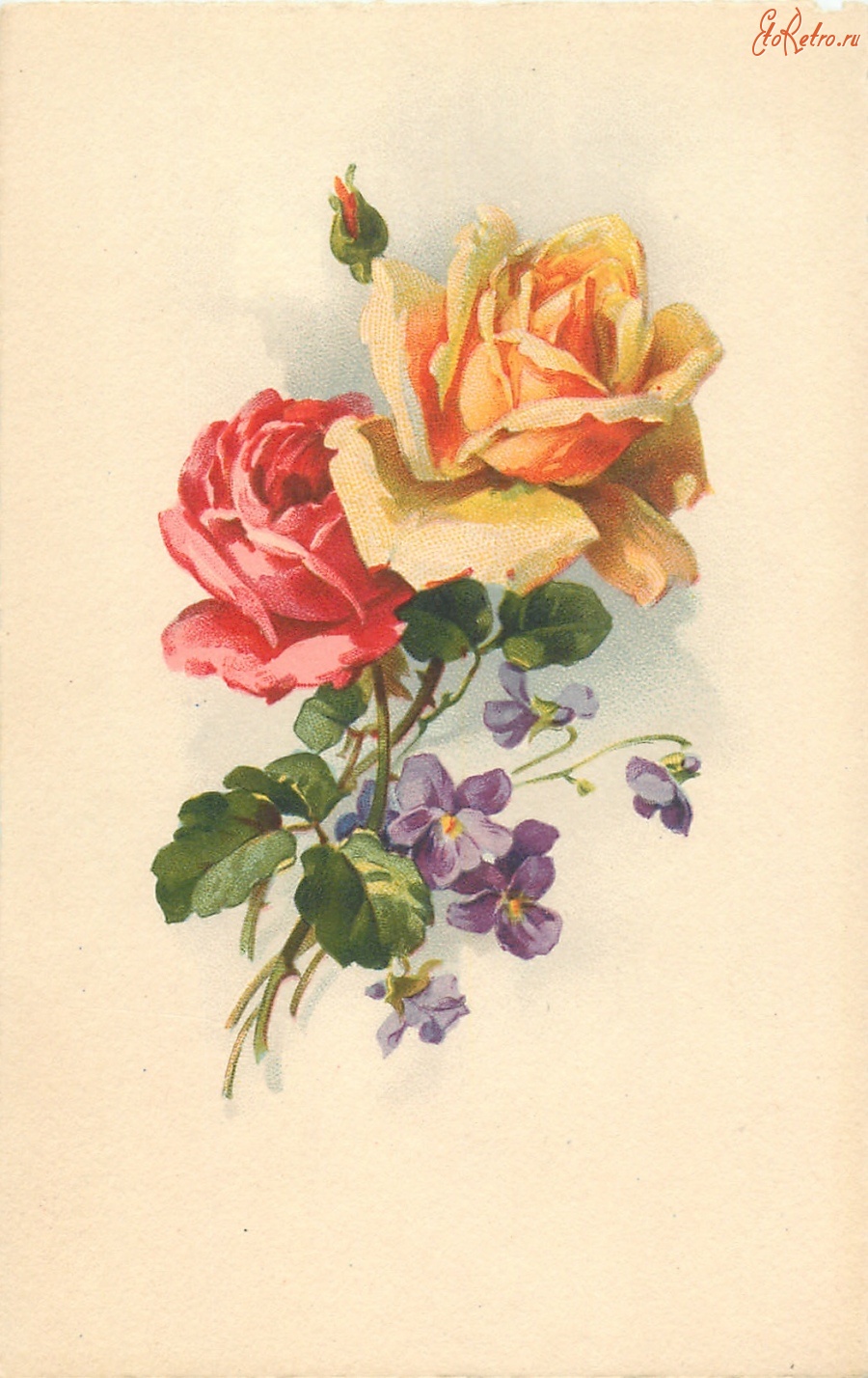 Ретро открытки - Красная и оранжево-жёлтая розы и фиалки