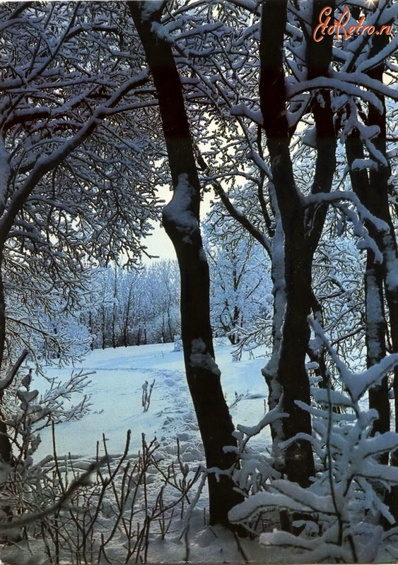 Ретро открытки - Зимы узоры