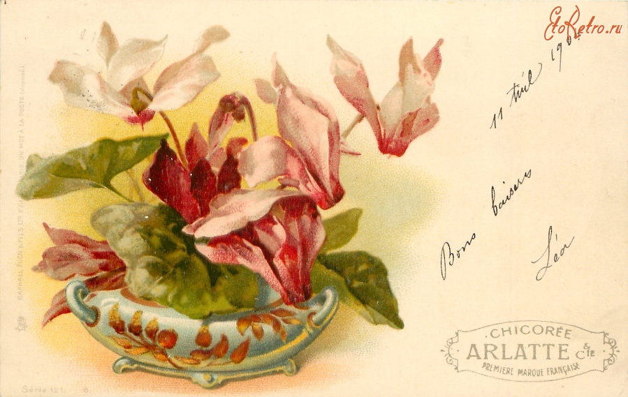 Ретро открытки - Розовые и белые цикламены в низкой голубой вазе