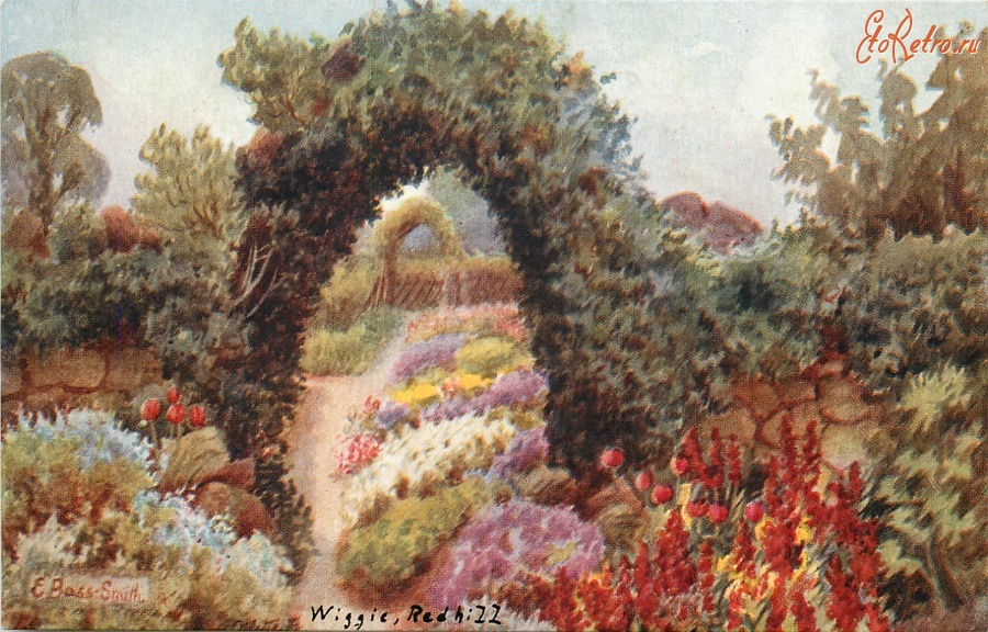 Ретро открытки - Старая зелёная изгородь в английском саду