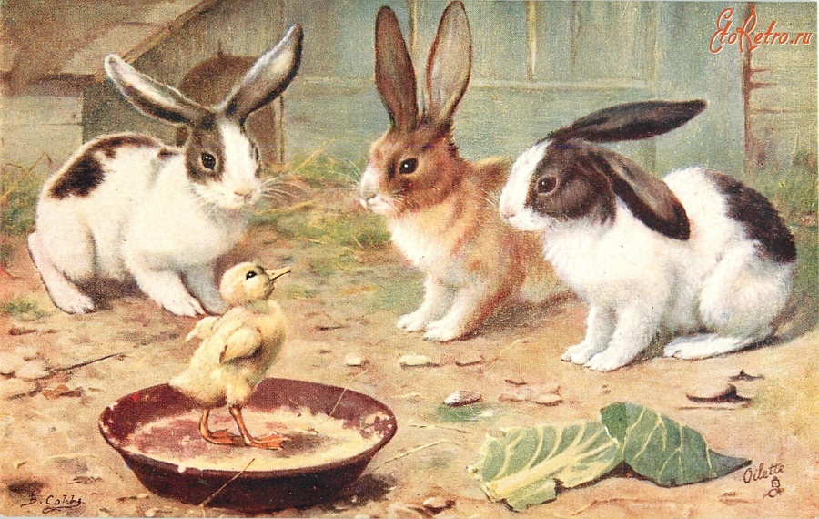 Ретро открытки - Три кролика и утёнок в миске