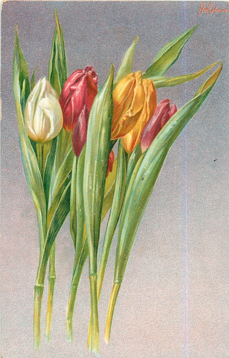 Тюльпаны на ретро открытках
