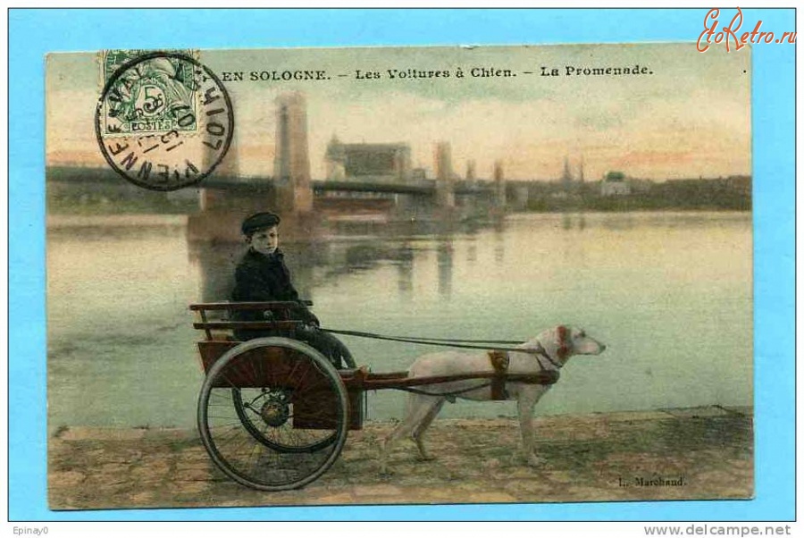 Ретро открытки - Ретро-поштівка.  Франція. Бричка з собакою.