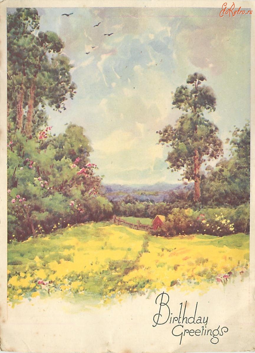 Ретро открытки - Сосны и цветочные поляны
