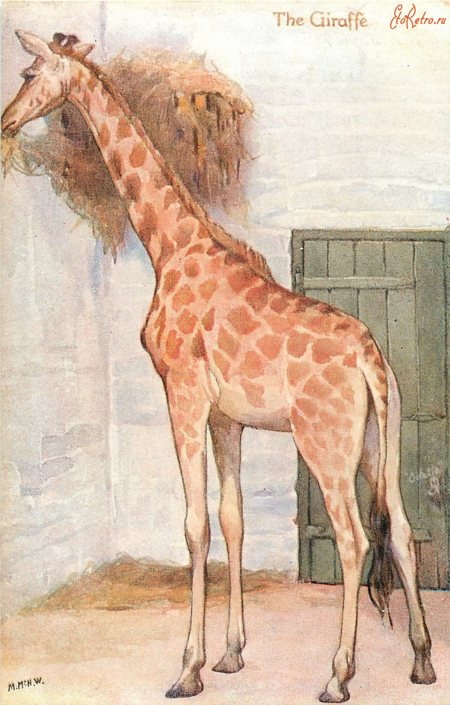 Ретро открытки - Жираф