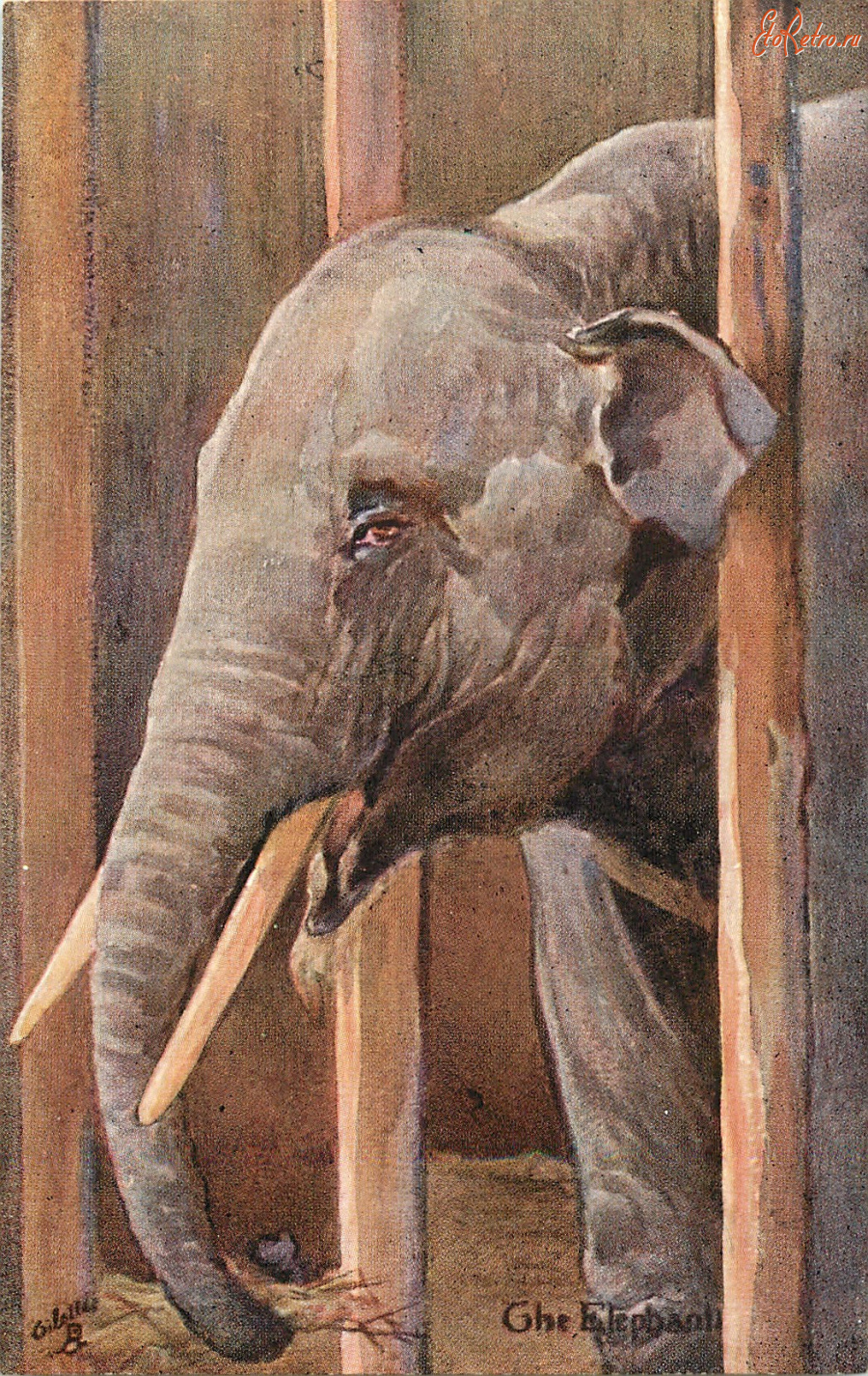 Ретро открытки - Слон