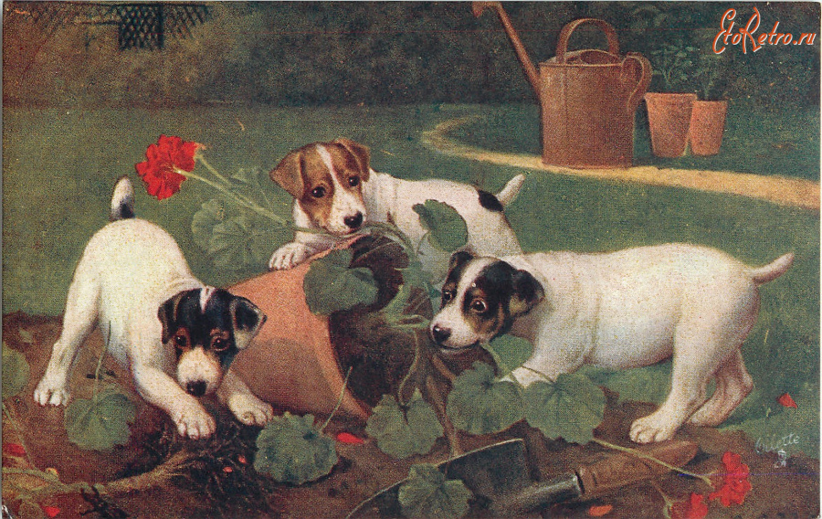 Ретро открытки - Три щенка и цветы в саду