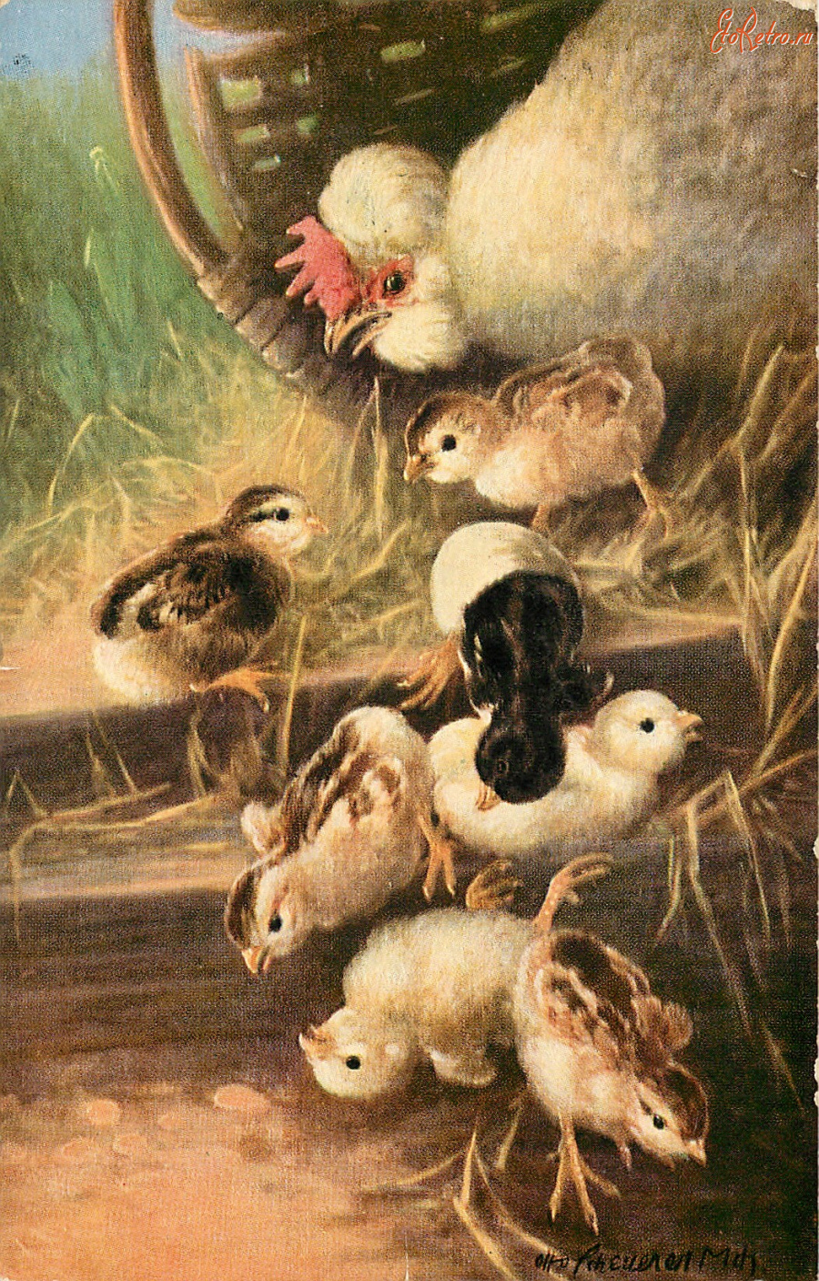 Ретро открытки - Курица с цыплятами