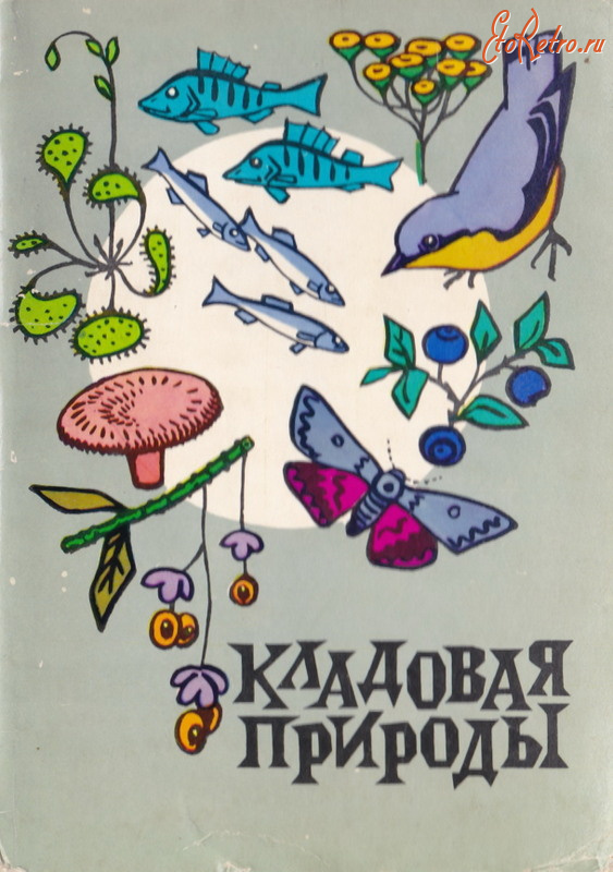 Заказать печать и изготовление открыток в Симферополе / Крыму. Цена на пригласительные открытки