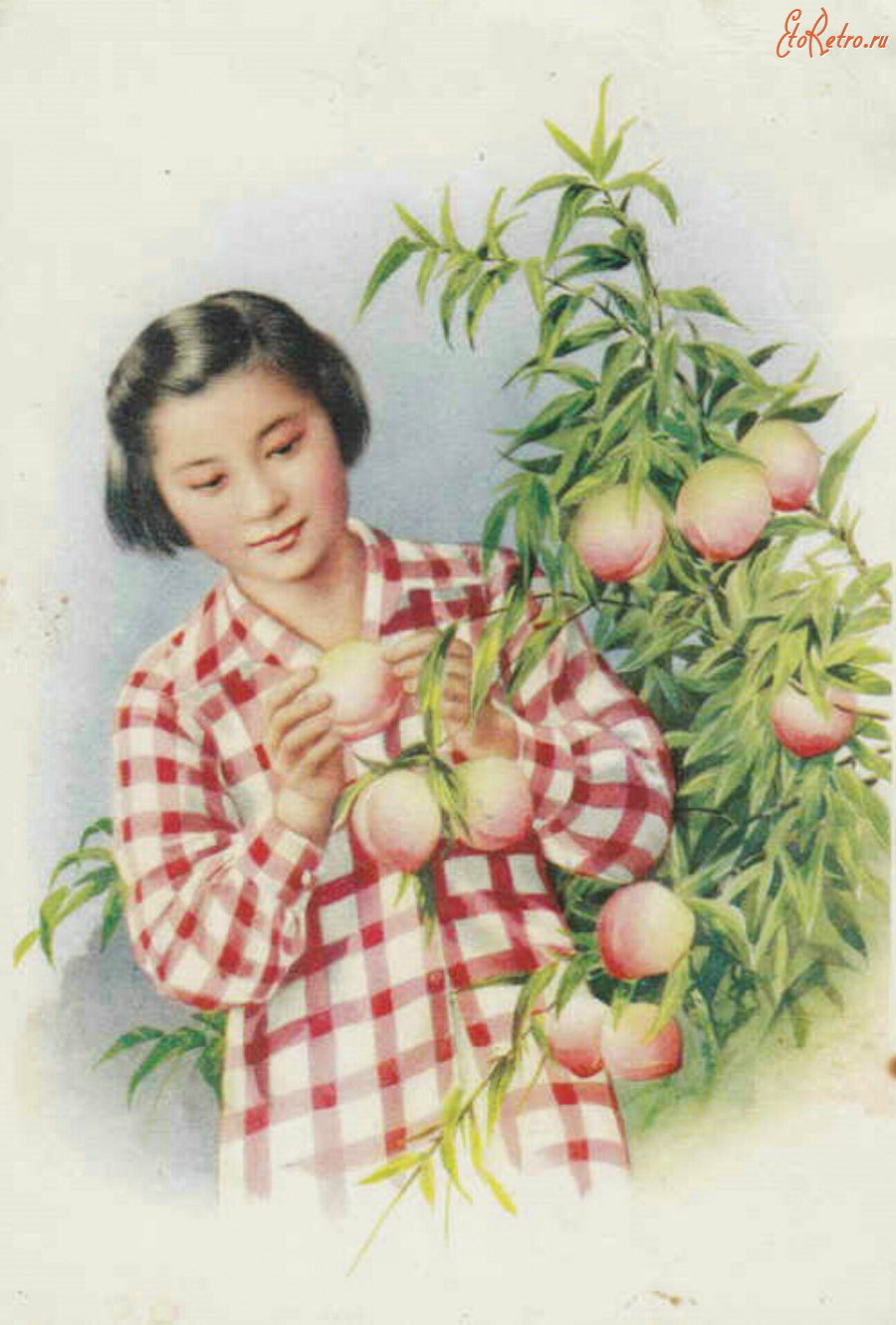 Ретро открытки - Цзинь Сюе-Чень. Девочка с персиками. Портрет девочки