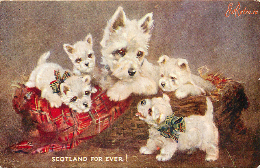 Ретро открытки - М. Гир. Шотландия навсегда