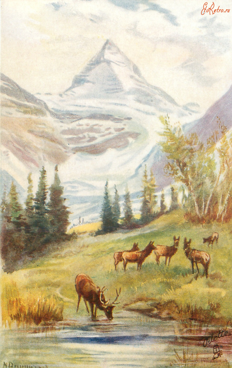 Ретро открытки - Нора Драммонд. Гора Ассинибой и ледник в Альберте, Канада