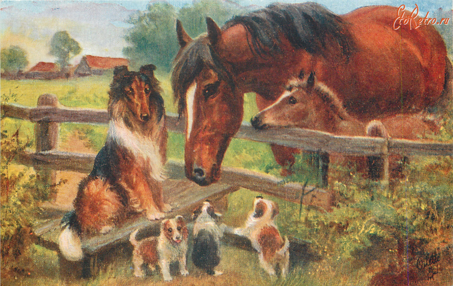 Ретро открытки - Нора Драммонд. Лошадь с жеребёнком и колли со щенками