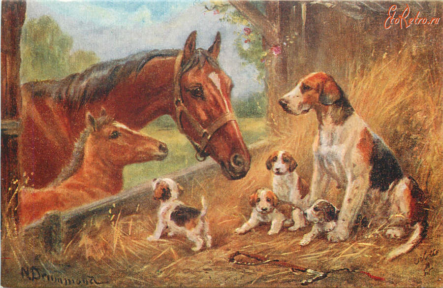 Ретро открытки - Нора Драммонд. Лошадь с жеребёнком и фоксхаунд со щенками