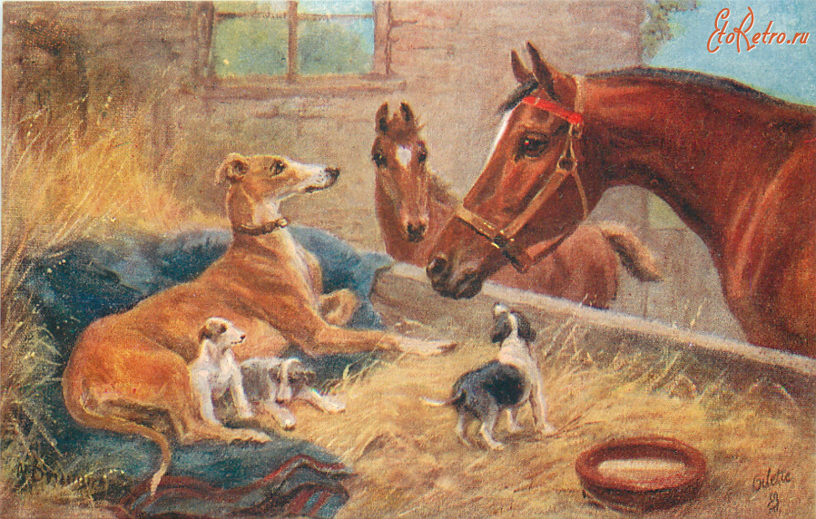 Ретро открытки - Нора Драммонд. Лошадь с жеребёнком и борзая со щенками