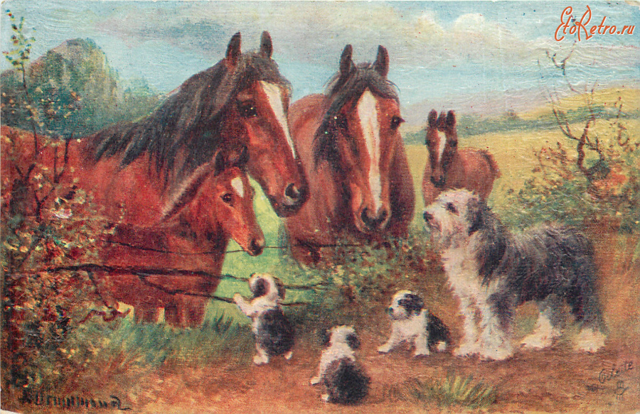 Ретро открытки - Нора Драммонд. Староанглийская овчарка со щенками и лошади с жеребятами