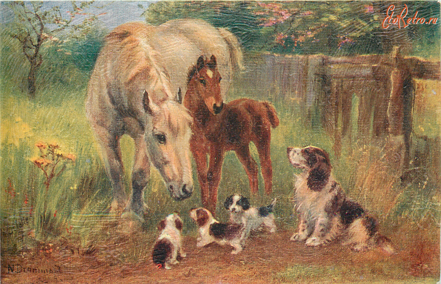 Ретро открытки - Нора Драммонд. Белая лошадь с жеребёнком и спаниель со щенками
