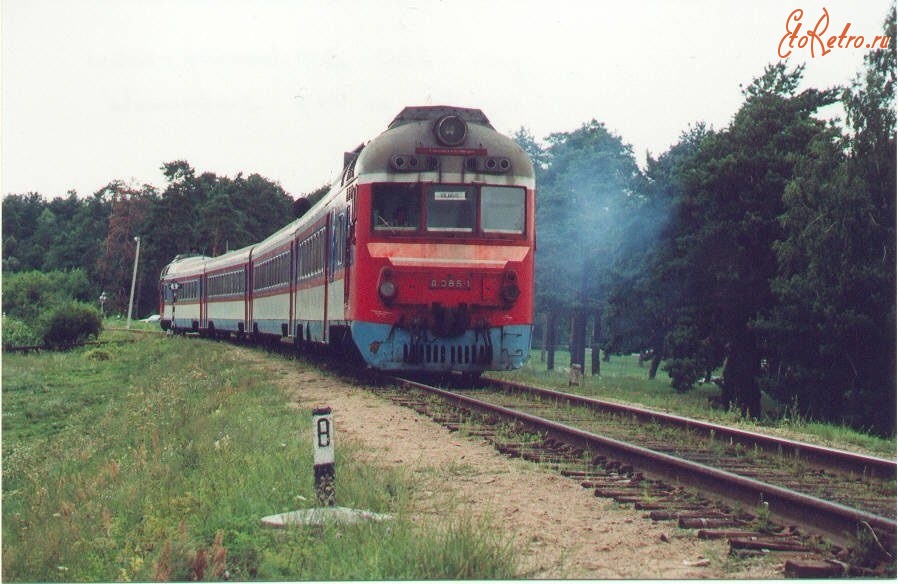 Литва - Дизель-поезд Д1-385 на станции Друскининкай,