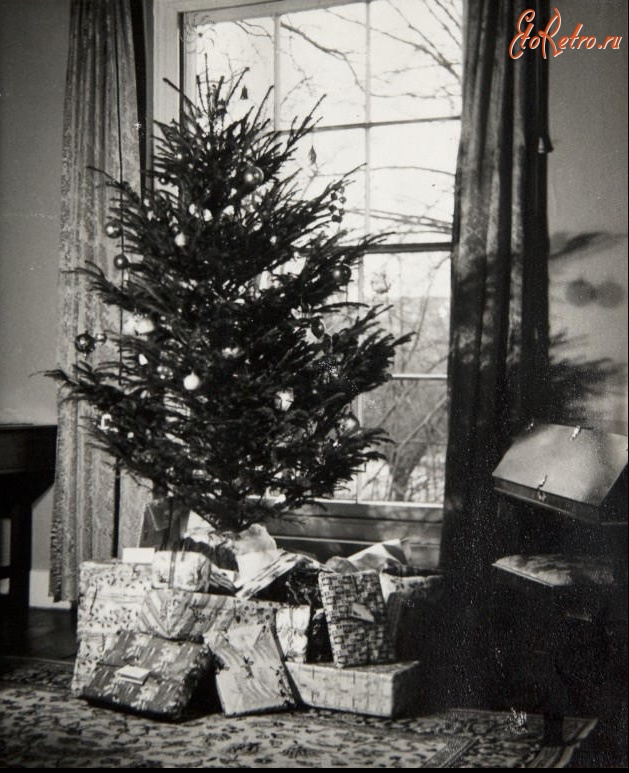 Лондон - Рождественская ёлка в Хайгейт Вилледж, 1961