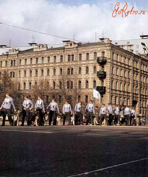 Форма милиции ссср 1950 1970 фото