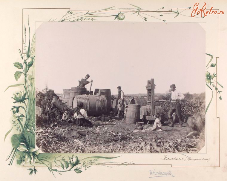 Кишинёв - Виноделие. Производство кашерного вина, 1889